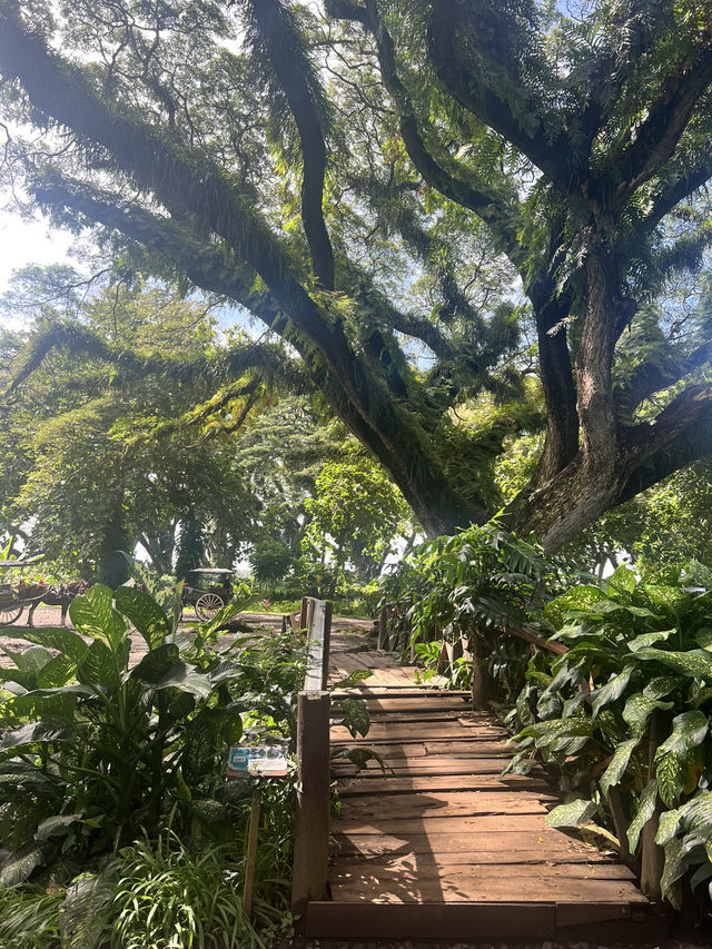 バニュワンギ🌳地元民しか訪れない観光スポット