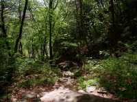 Tiny Hike, Big Vibes