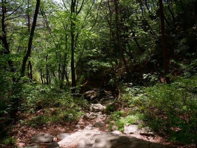 Tiny Hike, Big Vibes