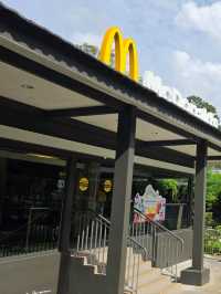 McDo Meets Tranquility: A Bite at Ridout Tea Garden, Singapore