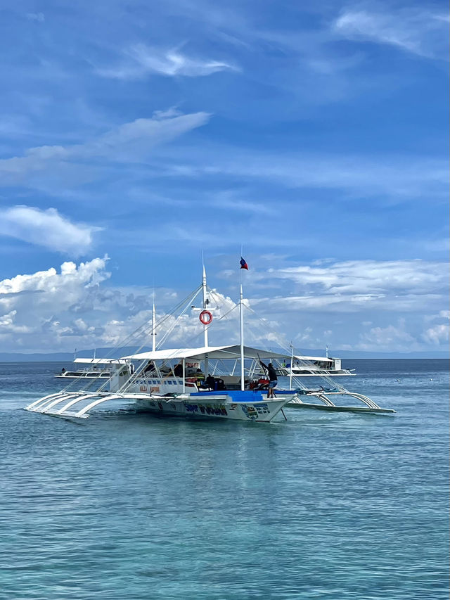 🌊 세부 바다 위 하루, 호핑투어 🐠☀️