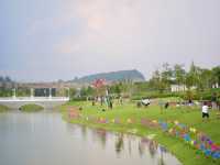Morning Calm & Duck Encounters at Eco Majestic City Park