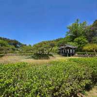 Wandering Through Seongyojang House