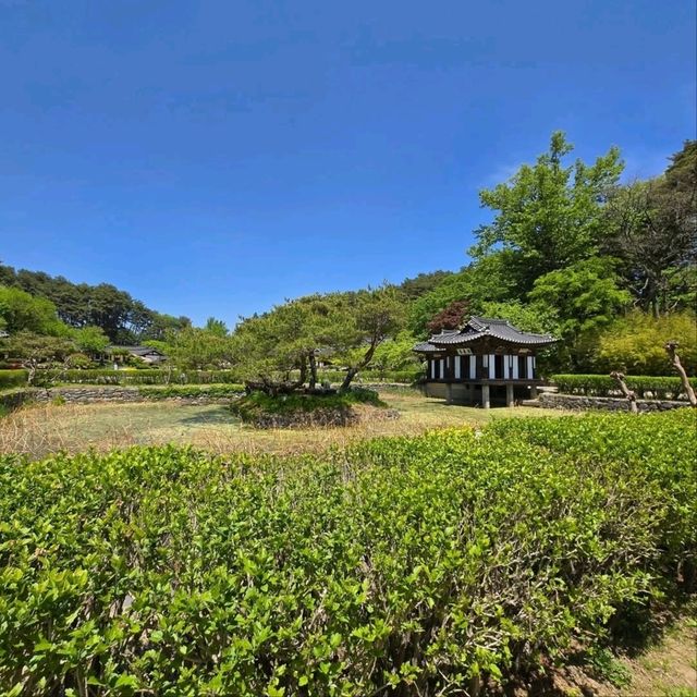 Wandering Through Seongyojang House