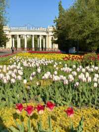 A Nature-Loving Walk in Almaty 🌿🌷