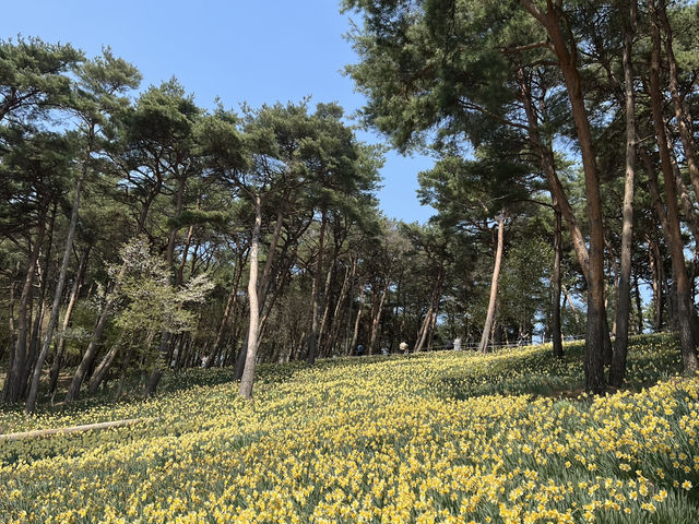 서산 여행코스🩵❤️