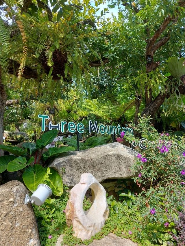 Three mountain Cafe 