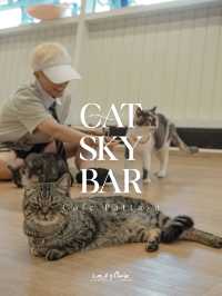 มาทะเล ก็แวะเติมแมวได้ ที่ Cat Sky Bar Cafe