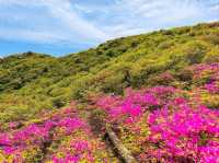 Flower Power Hike