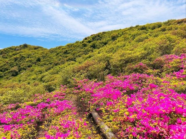 Flower Power Hike