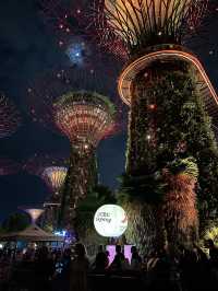 Night Walks & Glowing Trees – Gardens by the Bay After Dark! 