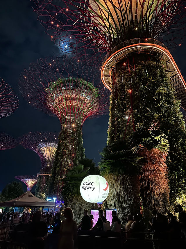 Night Walks & Glowing Trees – Gardens by the Bay After Dark! 