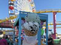 🎢【アメリカ・カリフォルニア ディズニーランド】夢と魔法の本場で、まるごと体験する冒険の1日