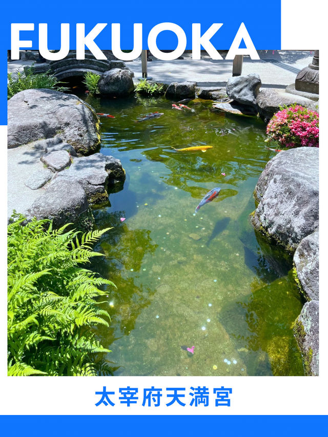 【福岡】半日モデルコース✈️