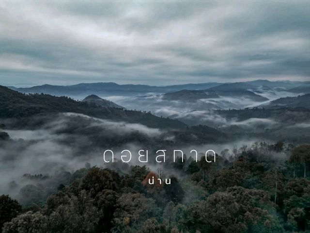 🍃Sakad Coffee”ด อ ย ส ก า ด” ⛰🌿