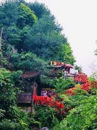 🌉 The First Bridge Under Heaven: Nature’s Hidden Marvel