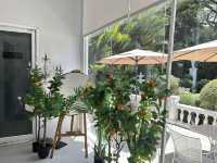 หลงคาเฟ่