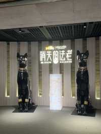 Walking With Pharaohs: A Budget Cultural Journey at Shanghai Museum