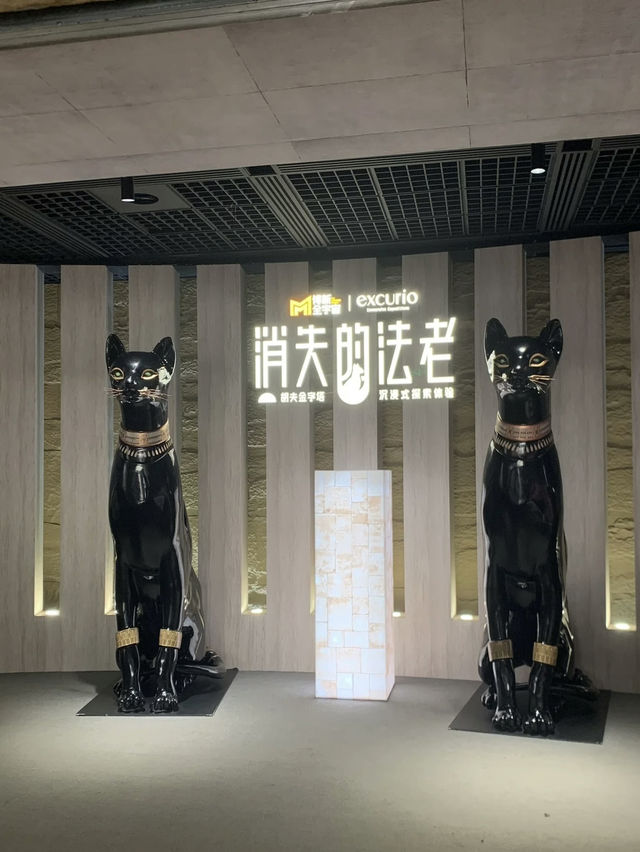 Walking With Pharaohs: A Budget Cultural Journey at Shanghai Museum
