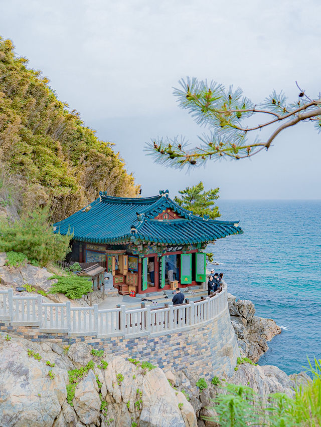 여름에 가기 좋은 양양 여행 코스💙 힐링 바다 즐기러 가세요