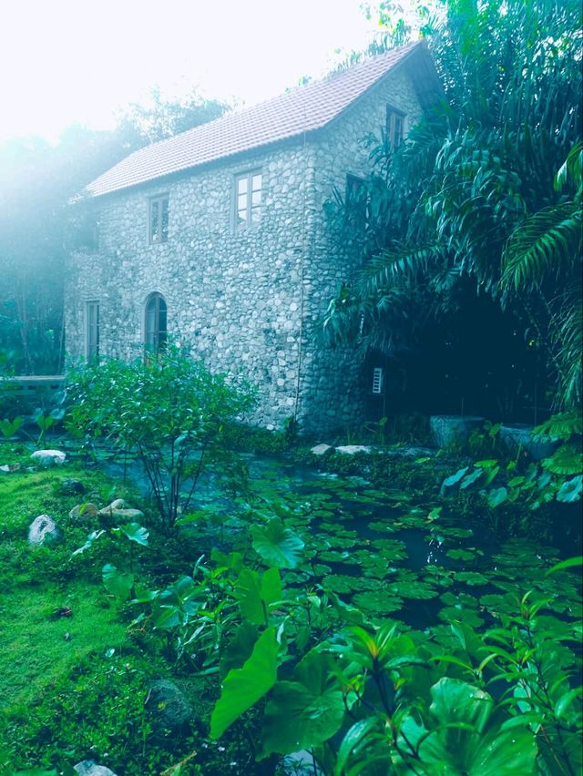 🌿☁️ บ้านไร่ไออรุณ…ระนอง