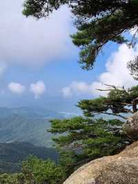 Forest Feels and a Breezy Summit