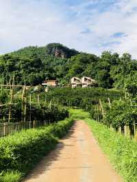 คาเฟ่ใกล้ฉัน ที่ต้องห้าม(พลาด) #ฟ้าหลังฝน