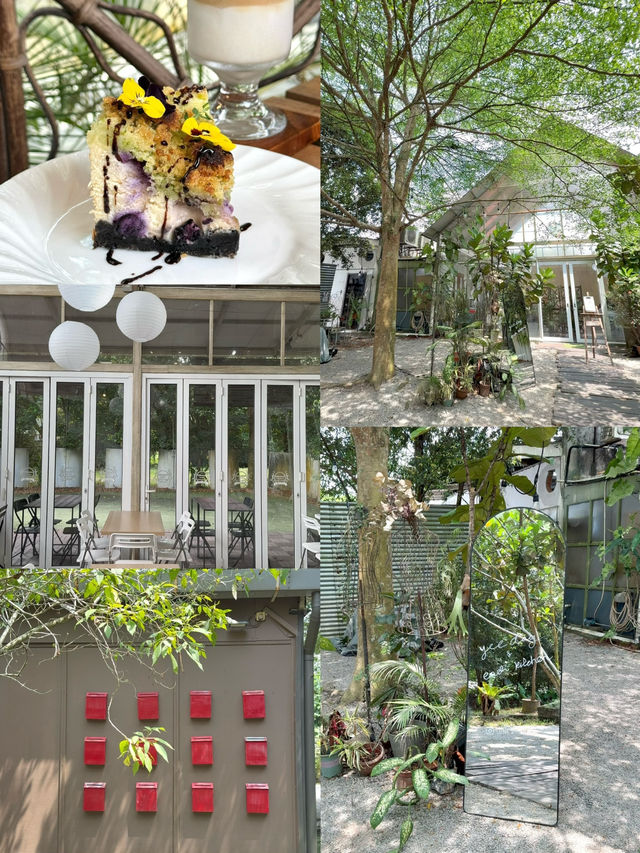 Skudai Café Hopping with Cheesecake, Capybaras & Fairytale Vibes
