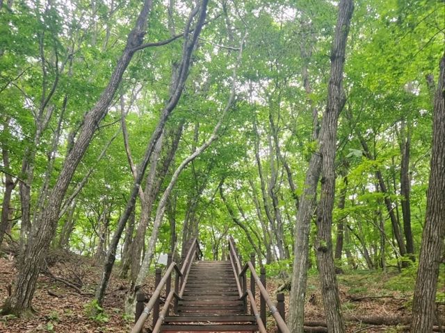 Hyangnobong & Jeoksangsan Adventures