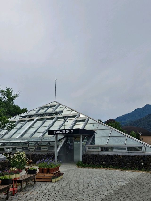 예쁨 식물이 가득한 알파인하우스전시온실🌲