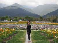 🌼 Huayu Ranch (花语牧场), Dali – A Flower Wonderland 