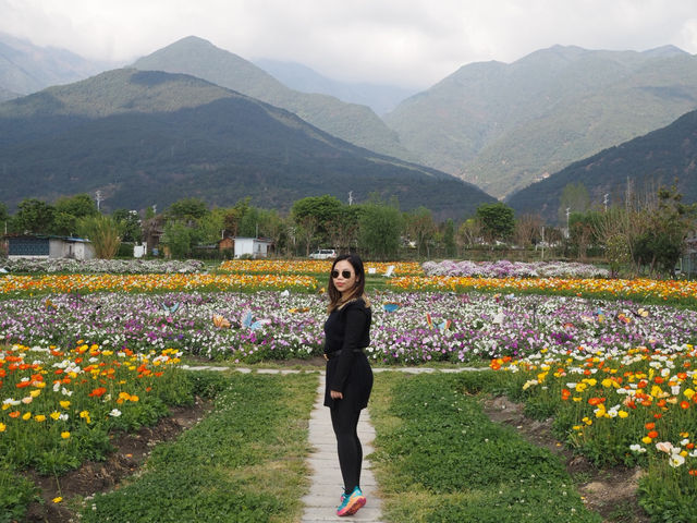 🌼 Huayu Ranch (花语牧场), Dali – A Flower Wonderland 