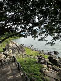 เที่ยวชมธรรมชาติอุทยานฮิตหนองบัวลำภู