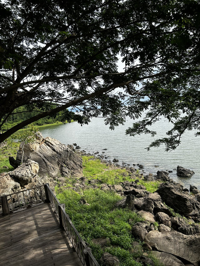 เที่ยวชมธรรมชาติอุทยานฮิตหนองบัวลำภู