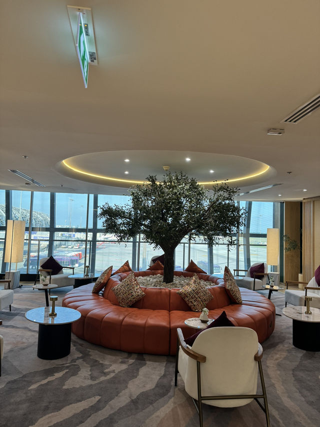 Coral Lounge C1✈️