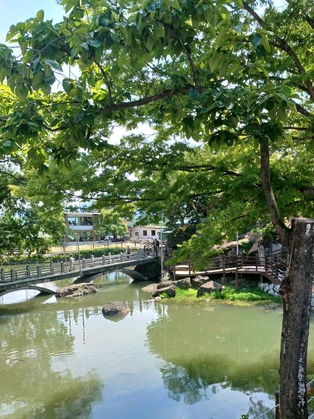 연못 위 고즈넉한 정자에서의 한가로운 산책