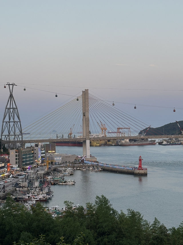 여수 카페 여기는 꼭 가봐!(뷰 맛집🌉)