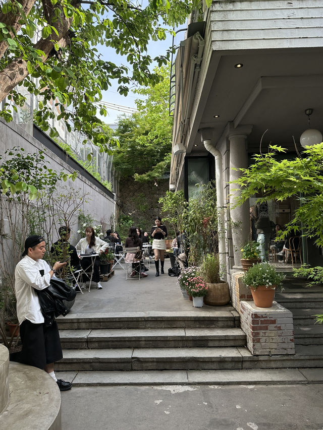 🌳 이태원 숲뷰 카페 후기 ☕️
