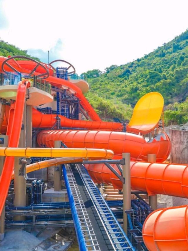 💦🌴 Dive into the Fun! | Ocean Park Water World Hong Kong 🇭🇰☀️