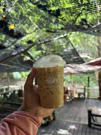 Nine One Coffee Organic Farm