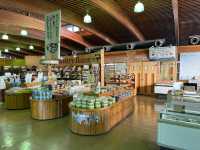 Family Fun and Fresh Milk at Rakunoh Mother’s Aso Milk Bokujo