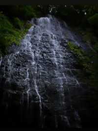 【龍双ヶ滝で心洗われる滝旅】福井の秘境でマイナスイオン全開🌿💧