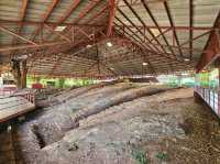 โบราณสถานเตาโอ่งอ่าง อำเภอสามโคก ปทุมธานี