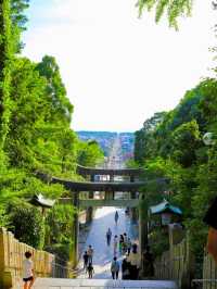 【光の道に導かれて✨】宮地嶽神社で神秘と絶景の旅