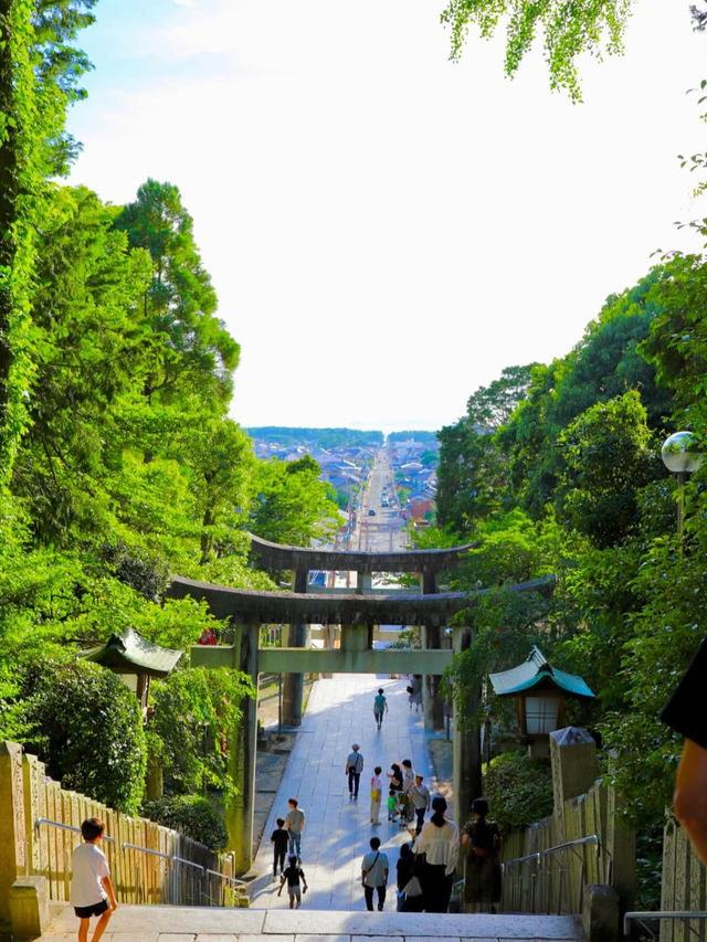 【光の道に導かれて✨】宮地嶽神社で神秘と絶景の旅