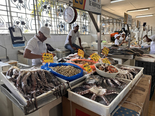 【Mercado de Mariscos｜パナマシティの鮮魚＆魚介市場】