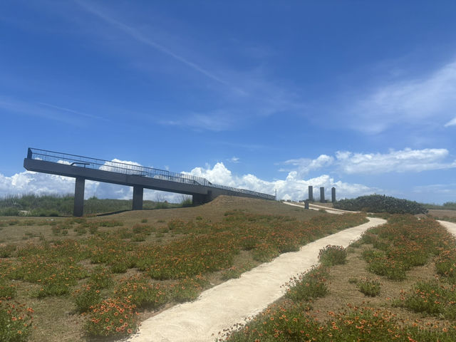 澎湖西嶼鄉遊記：碧海藍天下的戰地詩篇