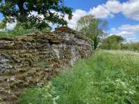 Silchester Roman Town Walls & Amphitheatre