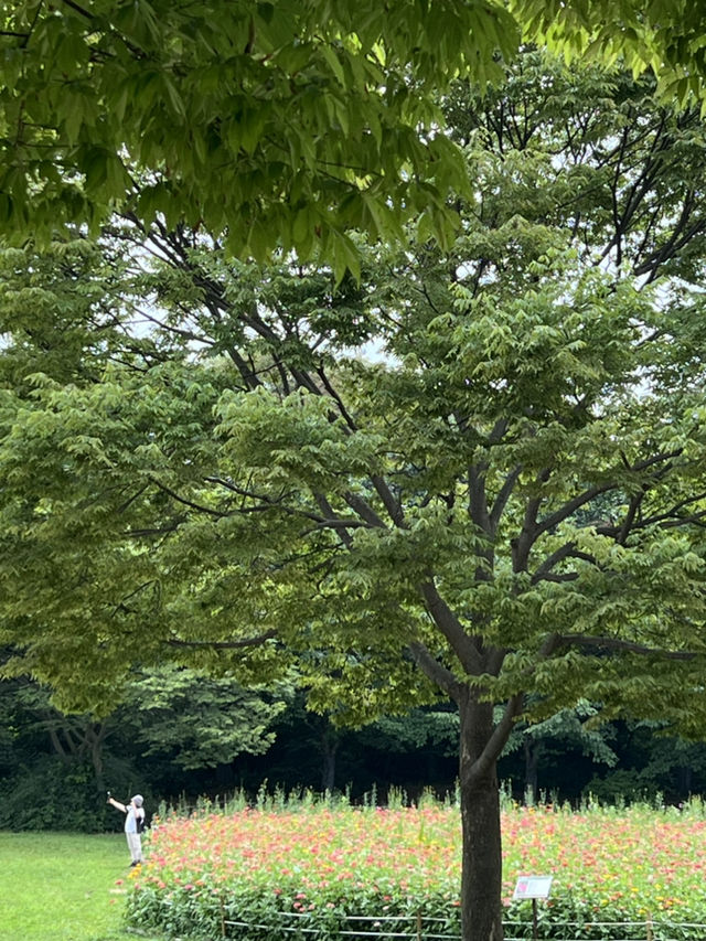 공원을 둘러보며