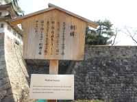 🏯 Timeless Beauty and Family Fun at Nagoya Castle